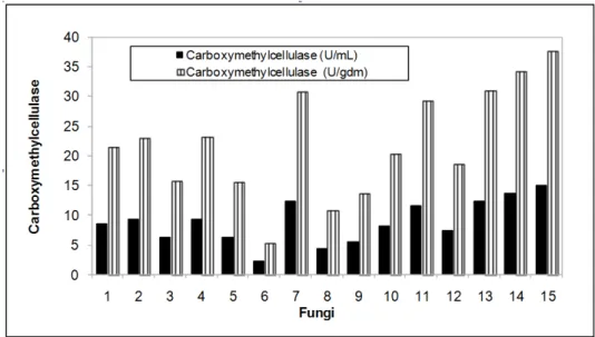 Figure 1 – Production of carboxymethylcellulase (U/gdm and U/mL) on semi-solid fermentation by  filamentous fungi isolated from diverse substrates according to Table 1
