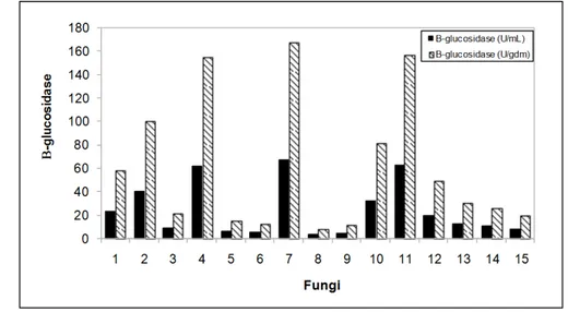 Figure  3  –  Production  of  β-glucosidase  (U/gdm  and  U/mL)  on  semi-solid  fermentation  by  filamentous fungi isolated from diverse substrates according to Table 1