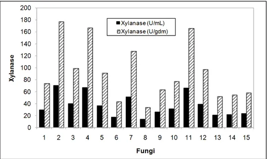 Figure 4 – Production of Xylanase (U/gdm and U/mL) on  semi-solid fermentation by  filamentous  fungi isolated from diverse substrates according to Table 1