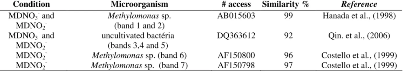 Table 2 - Information about sequences obtained from isolated DGGE bands with Bacteria Domain primers from  samples adapted to MDNO 3 