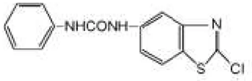 Figure 1 - Structure of N - phenyl-N’-[6-(2-chlorobenzothiazol)-yl] urea (PBU). 