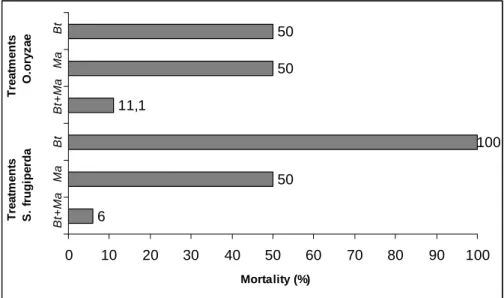 Figure  1  -  Corrected  mortality  of  the  Oryzophagus  oryzae  and  Spodoptera  frugiperda  larvae  treated with Bacillus thuringiensis isolates (Bt) and Melia azedarach aqueous extract  (Ma)