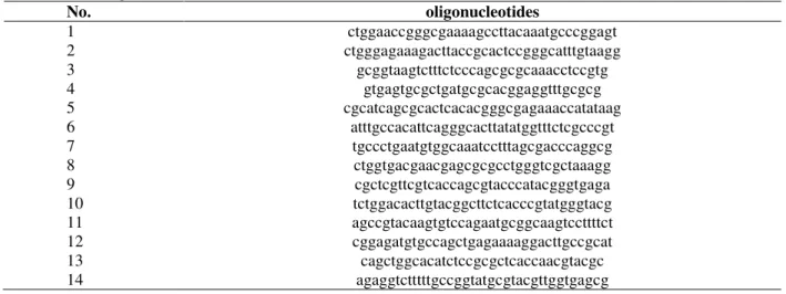 Table 2  - The oligonucleotides for ZFP2. 