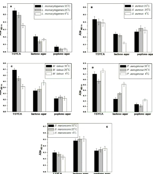 Figure  2  -  Adhesion  assays  of  bacterial  suspensions  of  A)  Listeria  monocytogenes  B)  Staphylococcus  aureus  C) Pseudomonas aeruginosa  D) Micrococcus  luteus  and  E)  Serratia  marcescens  after  cultivation  on  different  growth  media  and