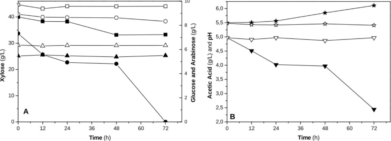 Figure  1A  shows  the  sugars  consumption  by  P. 