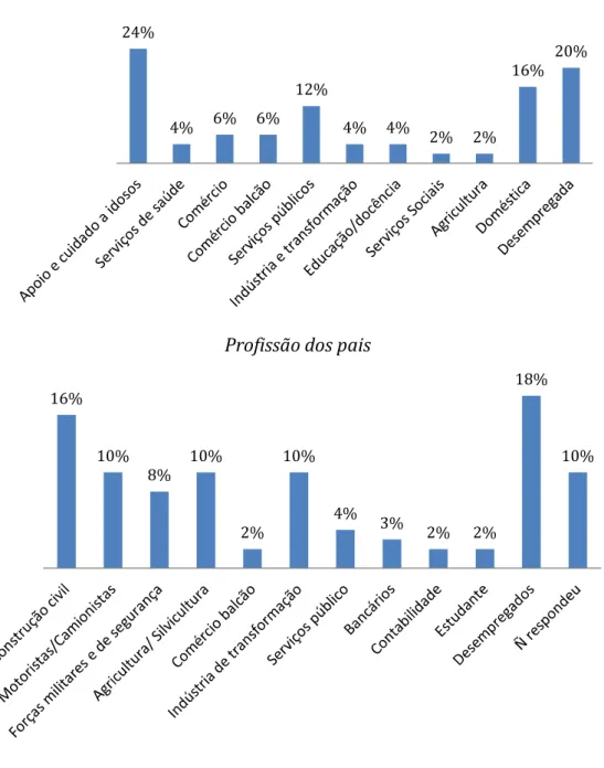 Gráfico nº 10 e 11 24% 4% 6% 6% 12% 4% 4% 2% 2% 16% 20%