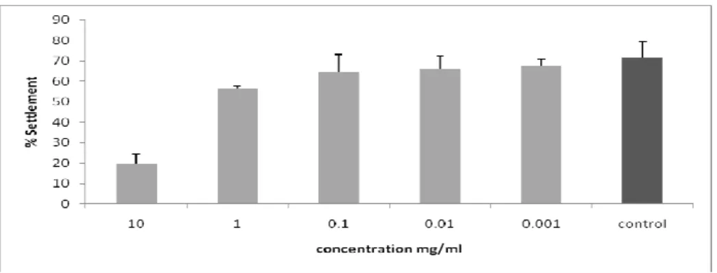Figure 2 - Barnacle settlement assay onVLC1 of A.elongata at different concentrations
