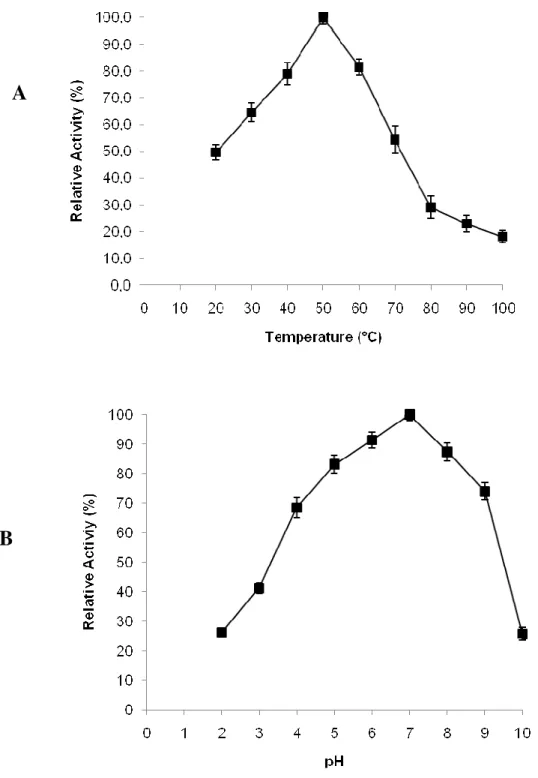 Figure 2 - Effect of temperature (at pH 6.9) (A) and pH (50ºC) (B) of α-amylase activity produced  by Streptomyces sp
