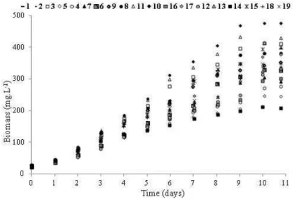 Figure 1 - Growth curves for experiments 1 to 19. 