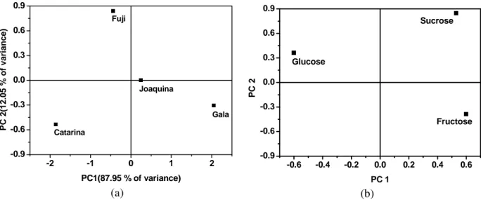 Figure 3 – PCA of the NMR data of the categorical and continuous variables: (a) Scores, (b) loads