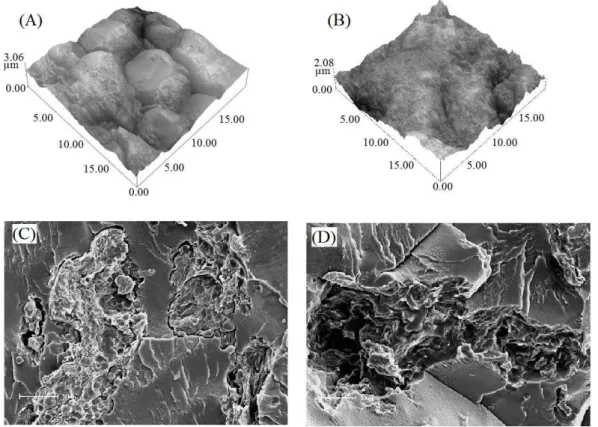 Figure  1  -  Microscopic  analysis:  (A)  and  (B)  NC-AFM  of  cassava  bagasse  samples,  PR  and  SP  respectively; (C) and (D) SEM of composite specimen samples
