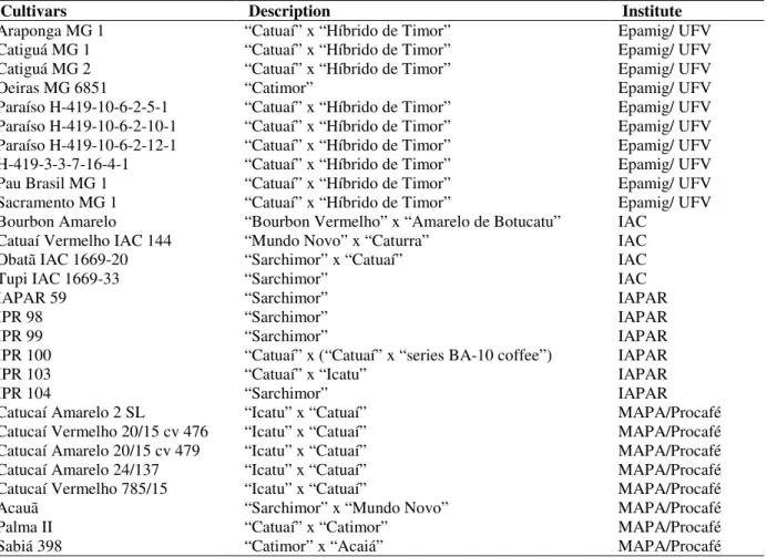 Table  1  -  Description  of  arabic  coffee  cultivars  assessed  in  the  experiments  set  up  in  the  north  of  Parana  state,  Brazil, to assess resistance to rust