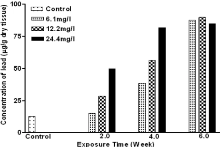 Figure 3 – Concentration of lead in the liver of exposed Clarias gariepinus 