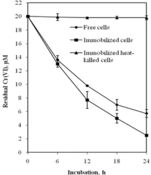 Figure 1 - Chromate reduction by free and immobilized cells of Bacillus sphaericus AND 303
