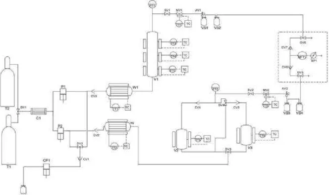 Figure 1 - Flowchart of the supercritical extraction pilot scale equipment – (DV) Directional Valve; 