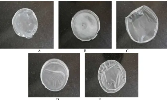 Figure 6 - Different PHB blends made from A) PHB sigma B) PHB-PLA C) PHB-TS D) PHB-PLA- PHB-PLA-TS E) PHB-PEG-PHB-PLA-TS