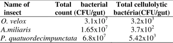Table 1 - Total bacterial count and cellulolytic bacterial  count of three insect guts