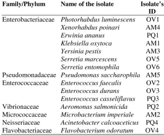 Figure  1  -  Zone  of  clearance  shown  by  the  isolates  in  CMC plate 