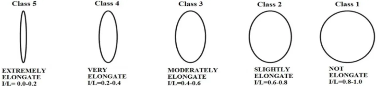 Figure 1 - The shape classification of brown bodies adapted from Blott and Pye (2008)