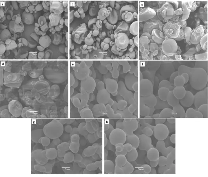 Figure 2 - Electron microscopy image of the red cabbage extract atomized with 10% of gum arabic at  140°C (a), 160°C (b); 15% of gum arabic at 140°C (c), 160°C (d); 10% of polydextrose at  140°C  (e),  160°C  (f);  15%  of  polydextrose  at  140°C  (g),  1