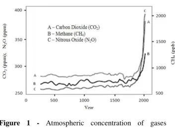 Figure  1  -  Atmospheric  concentration  of  gases  significant  to  the  greenhouse  effect  in  the  last  2000  years