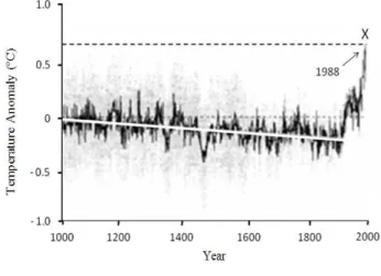 Figure  2  -  Reconstruction  of  the  average  annual  temperature  of  the  Earth’s  surface  in  the  northern hemisphere in the last millenium