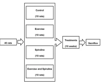 Figure 1 - Experiment flow sheet.