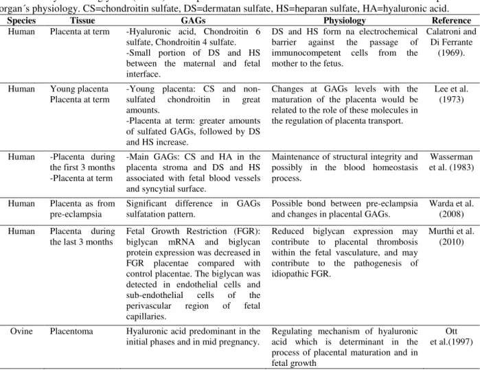 Table 2 - Glycosaminoglycans (GAGs) in the placenta tissue of euterius mammals and their relationship with the  organ´s physiology