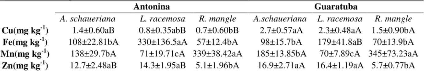 Table 3 - Average values of leaf metal concentrations of  A. shaueriana, L. racemosa e  R