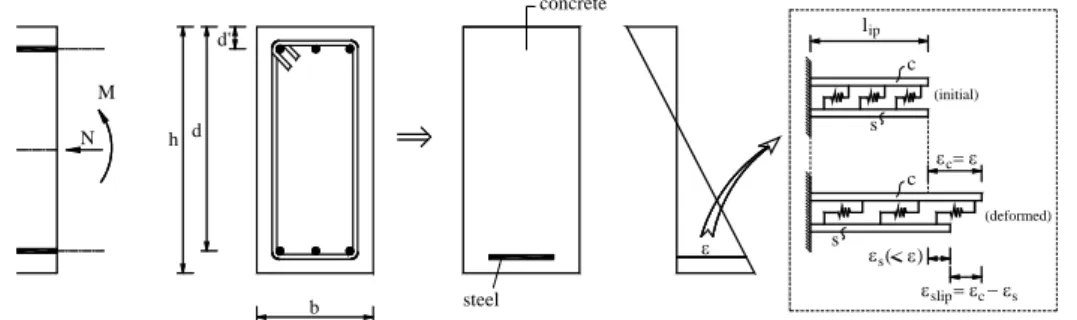Figure 1. Bond-slip deformation between the constituent materials [1]. 
