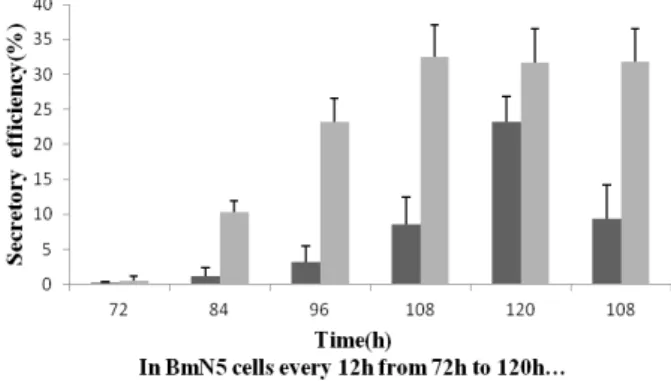 Figure  1  -  Identification  of  Bacmid-signal-UreB  1. 