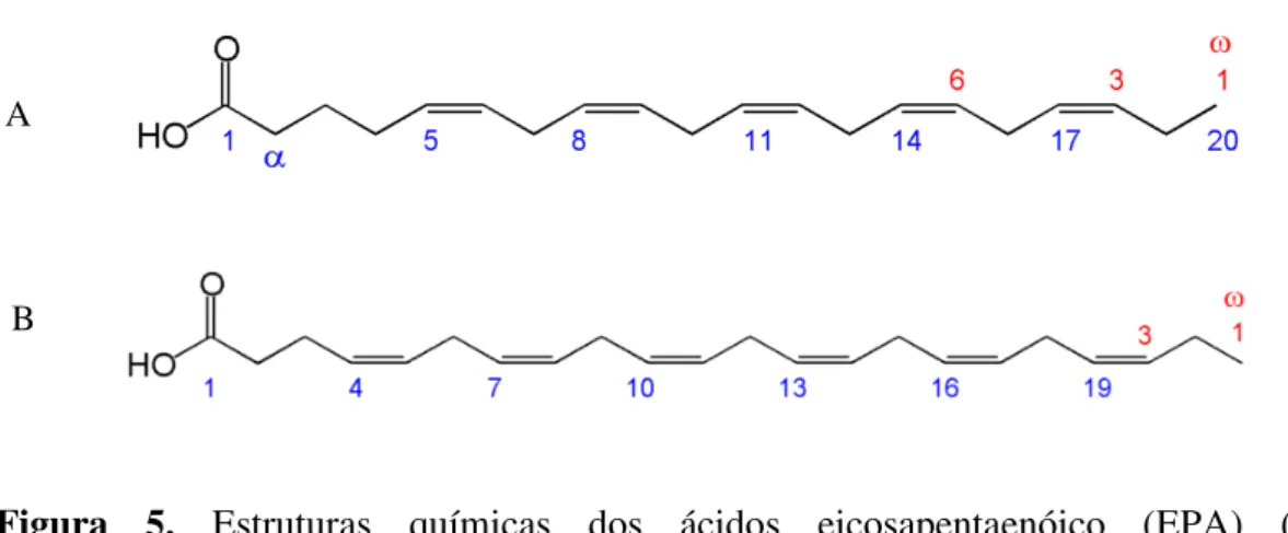 Figura  5.  Estruturas  químicas  dos  ácidos  eicosapentaenóico  (EPA)  (A)  e  docosahexaenóico (DHA) (B) (retirada de https://pt.wikipedia.org)