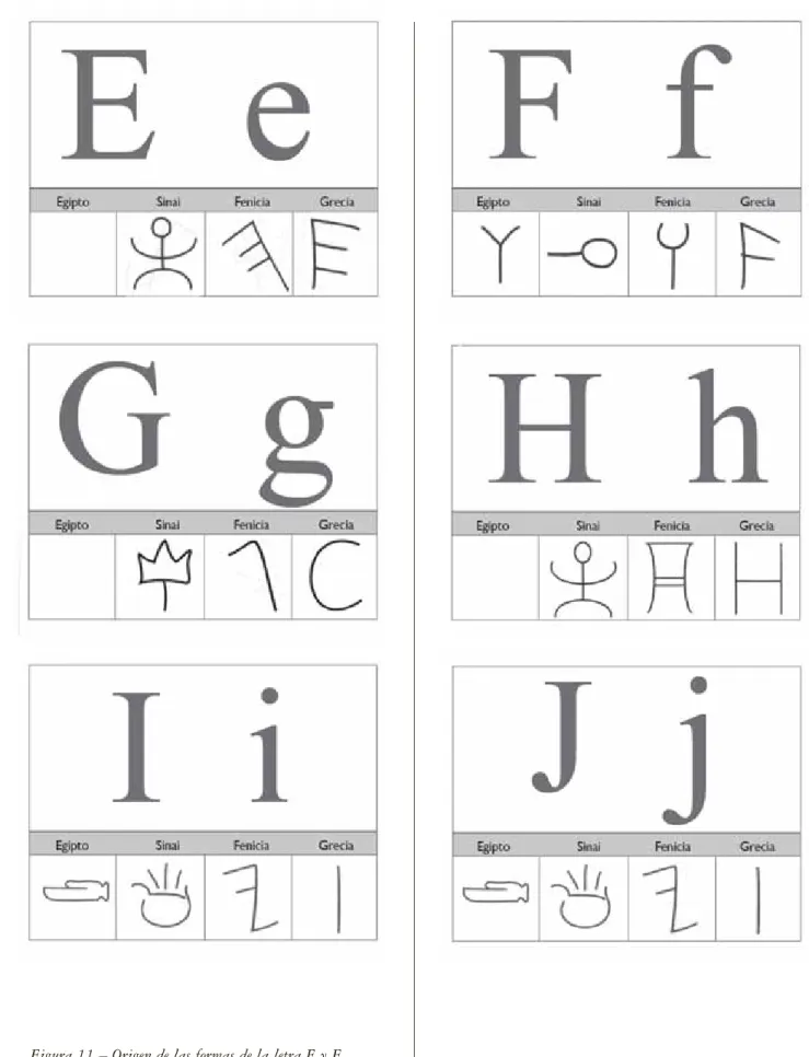 Figura 11 – Origen de las formas de la letra E y F.