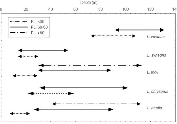 Figure 3 - Size distribution (cm) of the five Lutjanus species (FL= fork length) according to the depth in the studied area.