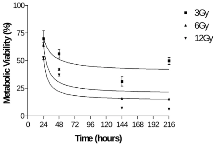 Figure 2 - Kinetics of the effect of gamma radiation on the metabolic viability of GH3 cell line