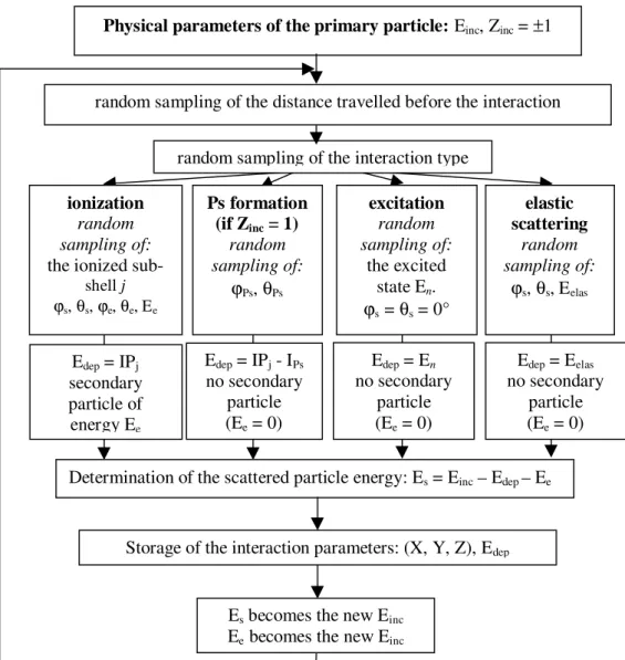 Figure 1 - Schematic representation for the Monte Carlo simulation of positron and electron transport in water