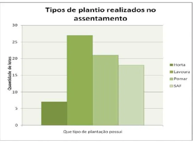 Gráfico 10. Gráfico sobre os tipos de plantio presentes no assentamento rural Sepé Tiarajú 