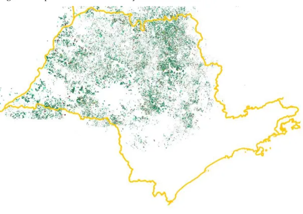 Figura 1. Mapa do cultivo da cana-de-açúcar no estado de São Paulo na safra 2012.
