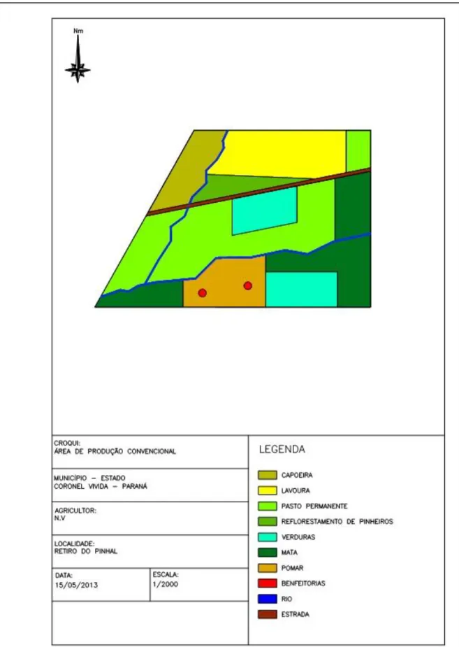 FIGURA 04 -Estabelecimento convencional - ex- agricultor agroecológico N.V 