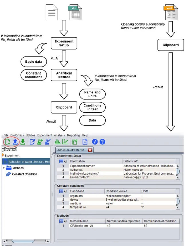 Fig. 5 – Experiment management in BEW: (left) steps to create or import an Experiment  from XLS; (right) steps to load an Experiment from XML