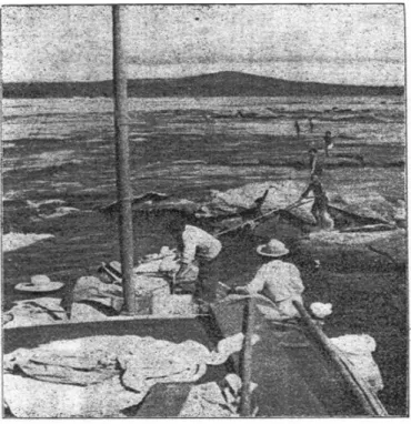 Foto 1: As dificuldades na travessia do rio Araguaia até  as  primeiras  décadas  do  século  XX 19  (TOURNIER,  1942, p