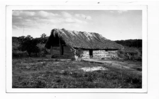 Foto 4: Casa camponesa tradicional. Nessa variação feita apenas com  madeira e palhas de babaçu