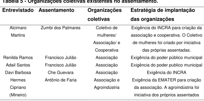 Tabela 5 - Organizações coletivas existentes no assentamento. 