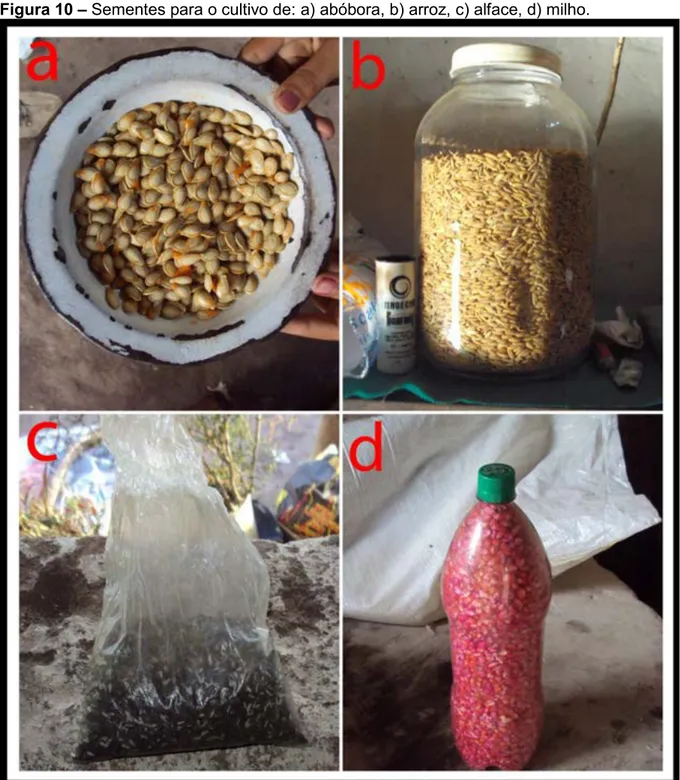 Figura 10 – Sementes para o cultivo de: a) abóbora, b) arroz, c) alface, d) milho. 