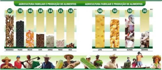 Ilustração 7 - Agricultura Familiar e Produção de alimentos (grãos e carnes)  