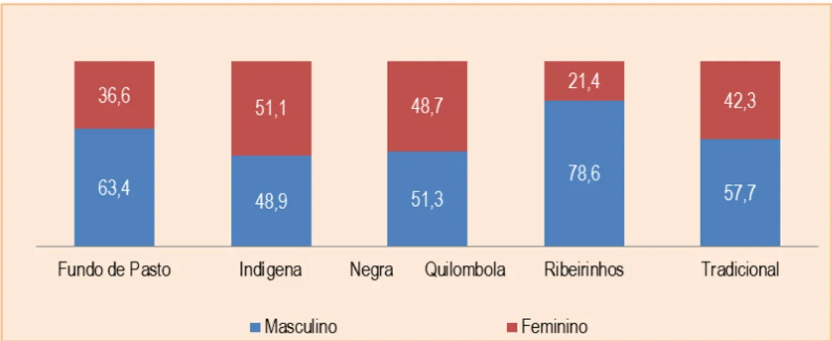 Gráfico 2 ˗˗  Distribuição percentual dos responsáveis pelo domicílio segundo o gênero,  por especificidade sociocultural  –  Projeto Gente de Valor, 2009 