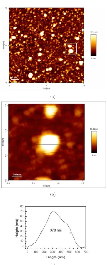 Figure 4.5: AFM height images of EGCG/P. The signed area in image (a) was zoomed (b) to evidence the spherical shape of the particles