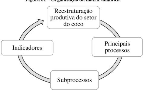 Figura 01  –  Organização da matriz analítica. 