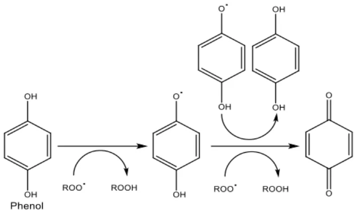 Figure 1. Example of the mechanism of the antioxidant activity of phenols. 