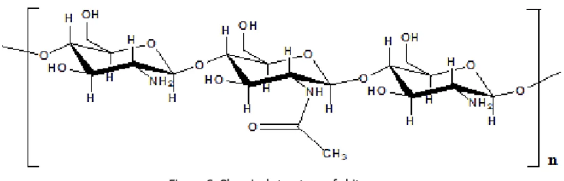 Figure 6. Chemical structure of chitosan. 